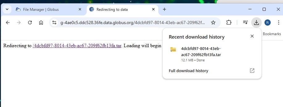DownloadComplete